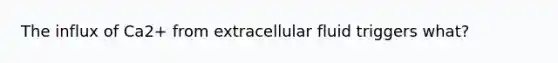 The influx of Ca2+ from extracellular fluid triggers what?