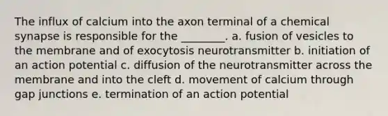 The influx of calcium into the axon terminal of a chemical synapse is responsible for the ________. a. fusion of vesicles to the membrane and of exocytosis neurotransmitter b. initiation of an action potential c. diffusion of the neurotransmitter across the membrane and into the cleft d. movement of calcium through gap junctions e. termination of an action potential