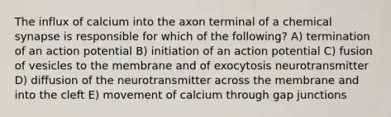 The influx of calcium into the axon terminal of a chemical synapse is responsible for which of the following? A) termination of an action potential B) initiation of an action potential C) fusion of vesicles to the membrane and of exocytosis neurotransmitter D) diffusion of the neurotransmitter across the membrane and into the cleft E) movement of calcium through gap junctions