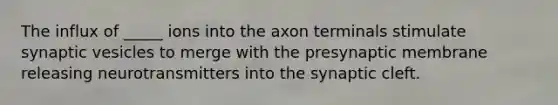 The influx of _____ ions into the axon terminals stimulate synaptic vesicles to merge with the presynaptic membrane releasing neurotransmitters into the synaptic cleft.