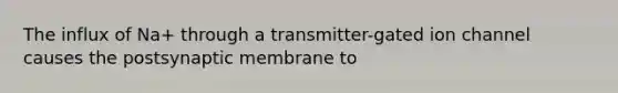 The influx of Na+ through a transmitter-gated ion channel causes the postsynaptic membrane to