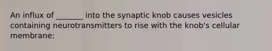 An influx of _______ into the synaptic knob causes vesicles containing neurotransmitters to rise with the knob's cellular membrane: