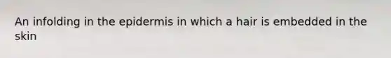 An infolding in the epidermis in which a hair is embedded in the skin