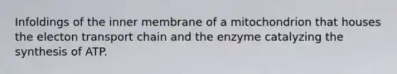 Infoldings of the inner membrane of a mitochondrion that houses the electon transport chain and the enzyme catalyzing the synthesis of ATP.