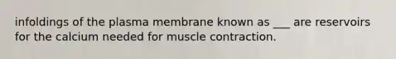 infoldings of the plasma membrane known as ___ are reservoirs for the calcium needed for muscle contraction.