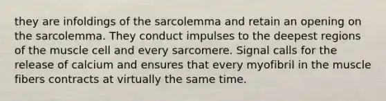 they are infoldings of the sarcolemma and retain an opening on the sarcolemma. They conduct impulses to the deepest regions of the muscle cell and every sarcomere. Signal calls for the release of calcium and ensures that every myofibril in the muscle fibers contracts at virtually the same time.