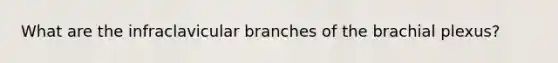 What are the infraclavicular branches of the brachial plexus?