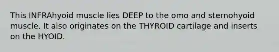 This INFRAhyoid muscle lies DEEP to the omo and sternohyoid muscle. It also originates on the THYROID cartilage and inserts on the HYOID.
