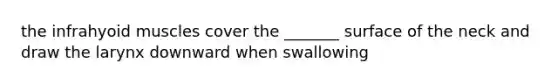 the infrahyoid muscles cover the _______ surface of the neck and draw the larynx downward when swallowing