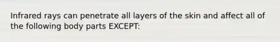 Infrared rays can penetrate all layers of the skin and affect all of the following body parts EXCEPT: