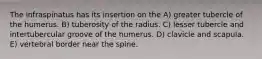 The infraspinatus has its insertion on the A) greater tubercle of the humerus. B) tuberosity of the radius. C) lesser tubercle and intertubercular groove of the humerus. D) clavicle and scapula. E) vertebral border near the spine.