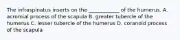 The infraspinatus inserts on the ____________ of the humerus. A. acromial process of the scapula B. greater tubercle of the humerus C. lesser tubercle of the humerus D. coranoid process of the scapula