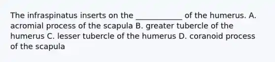 The infraspinatus inserts on the ____________ of the humerus. A. acromial process of the scapula B. greater tubercle of the humerus C. lesser tubercle of the humerus D. coranoid process of the scapula