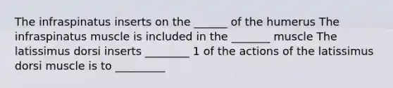 The infraspinatus inserts on the ______ of the humerus The infraspinatus muscle is included in the _______ muscle The latissimus dorsi inserts ________ 1 of the actions of the latissimus dorsi muscle is to _________