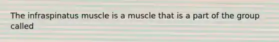 The infraspinatus muscle is a muscle that is a part of the group called