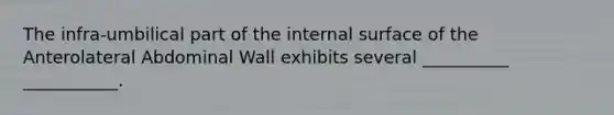 The infra-umbilical part of the internal surface of the Anterolateral Abdominal Wall exhibits several __________ ___________.