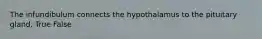 The infundibulum connects the hypothalamus to the pituitary gland. True False