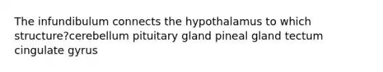 The infundibulum connects the hypothalamus to which structure?cerebellum pituitary gland pineal gland tectum cingulate gyrus