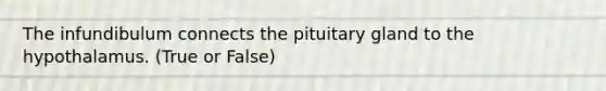 The infundibulum connects the pituitary gland to the hypothalamus. (True or False)