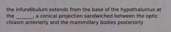 the infundibulum extends from the base of the hypothalumus at the _______, a conical projection sandwiched between the optic chiasm anteriorly and the mammillary bodies posteriorly