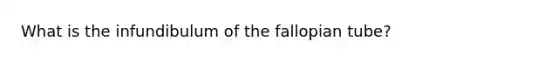 What is the infundibulum of the fallopian tube?