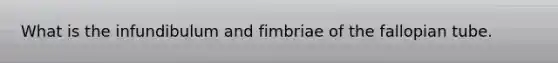 What is the infundibulum and fimbriae of the fallopian tube.