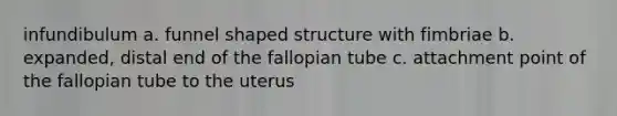 infundibulum a. funnel shaped structure with fimbriae b. expanded, distal end of the fallopian tube c. attachment point of the fallopian tube to the uterus