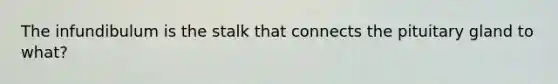 The infundibulum is the stalk that connects the pituitary gland to what?