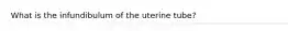 What is the infundibulum of the uterine tube?