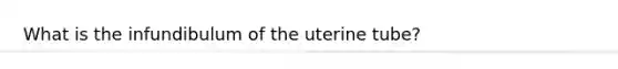 What is the infundibulum of the uterine tube?