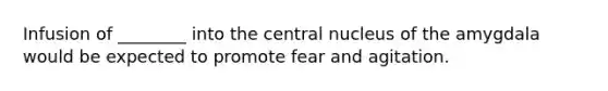 Infusion of ________ into the central nucleus of the amygdala would be expected to promote fear and agitation.