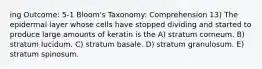 ing Outcome: 5-1 Bloom's Taxonomy: Comprehension 13) The epidermal layer whose cells have stopped dividing and started to produce large amounts of keratin is the A) stratum corneum. B) stratum lucidum. C) stratum basale. D) stratum granulosum. E) stratum spinosum.