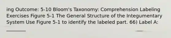 ing Outcome: 5-10 Bloom's Taxonomy: Comprehension Labeling Exercises Figure 5-1 The General Structure of the Integumentary System Use Figure 5-1 to identify the labeled part. 66) Label A: ________