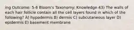 ing Outcome: 5-6 Bloom's Taxonomy: Knowledge 43) The walls of each hair follicle contain all the cell layers found in which of the following? A) hypodermis B) dermis C) subcutaneous layer D) epidermis E) basement membrane