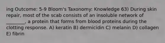 ing Outcome: 5-9 Bloom's Taxonomy: Knowledge 63) During skin repair, most of the scab consists of an insoluble network of ________, a protein that forms from blood proteins during the clotting response. A) keratin B) dermicidin C) melanin D) collagen E) fibrin