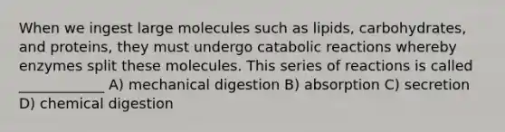 When we ingest large molecules such as lipids, carbohydrates, and proteins, they must undergo catabolic reactions whereby enzymes split these molecules. This series of reactions is called ____________ A) mechanical digestion B) absorption C) secretion D) chemical digestion