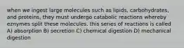 when we ingest large molecules such as lipids, carbohydrates, and proteins, they must undergo catabolic reactions whereby eznymes split these molecules. this series of reactions is called A) absorption B) secretion C) chemical digestion D) mechanical digestion