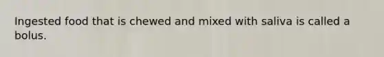 Ingested food that is chewed and mixed with saliva is called a bolus.