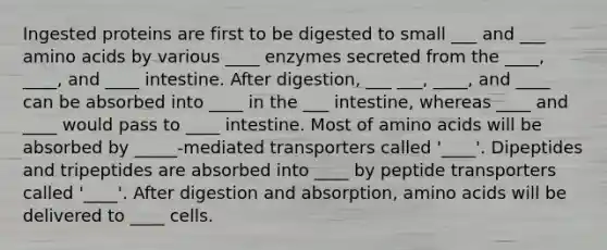 Ingested proteins are first to be digested to small ___ and ___ amino acids by various ____ enzymes secreted from the ____, ____, and ____ intestine. After digestion, ___ ___, ____, and ____ can be absorbed into ____ in the ___ intestine, whereas ____ and ____ would pass to ____ intestine. Most of amino acids will be absorbed by _____-mediated transporters called '____'. Dipeptides and tripeptides are absorbed into ____ by peptide transporters called '____'. After digestion and absorption, amino acids will be delivered to ____ cells.