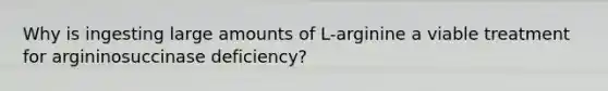 Why is ingesting large amounts of L-arginine a viable treatment for argininosuccinase deficiency?