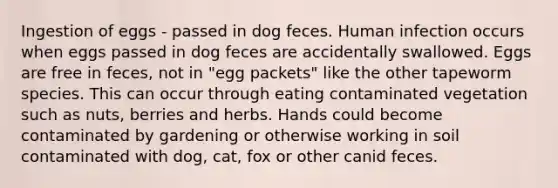 Ingestion of eggs - passed in dog feces. Human infection occurs when eggs passed in dog feces are accidentally swallowed. Eggs are free in feces, not in "egg packets" like the other tapeworm species. This can occur through eating contaminated vegetation such as nuts, berries and herbs. Hands could become contaminated by gardening or otherwise working in soil contaminated with dog, cat, fox or other canid feces.