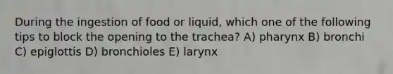 During the ingestion of food or liquid, which one of the following tips to block the opening to the trachea? A) pharynx B) bronchi C) epiglottis D) bronchioles E) larynx