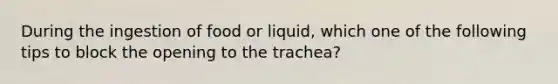 During the ingestion of food or liquid, which one of the following tips to block the opening to the trachea?