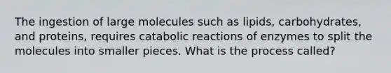 The ingestion of large molecules such as lipids, carbohydrates, and proteins, requires catabolic reactions of enzymes to split the molecules into smaller pieces. What is the process called?