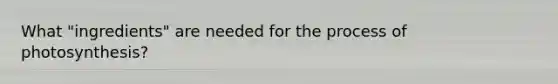 What "ingredients" are needed for the process of photosynthesis?
