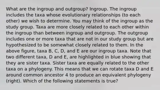 What are the ingroup and outgroup? Ingroup. The ingroup includes the taxa whose evolutionary relationships (to each other) we wish to determine. You may think of the ingroup as the study group. Taxa are more closely related to each other within the ingroup than between ingroup and outgroup. The outgroup includes one or more taxa that are not in our study group but are hypothesized to be somewhat closely related to them. In the above figure, taxa B, C, D, and E are our ingroup taxa. Note that two different taxa, D and E, are highlighted in blue showing that they are sister taxa. Sister taxa are equally related to the other taxa on a phylogeny. This means that we can rotate taxa D and E around common ancestor 4 to produce an equivalent phylogeny (right). Which of the following statements is true?