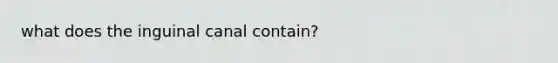 what does the inguinal canal contain?