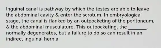 Inguinal canal is pathway by which the testes are able to leave the abdominal cavity & enter the scrotum. In embryological stage, the canal is flanked by an outpocketing of the peritoneum, & the abdominal musculature. This outpocketing, the ________, normally degenerates, but a failure to do so can result in an indirect inguinal hernia