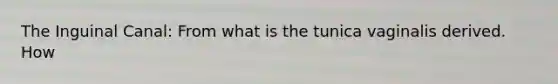 The Inguinal Canal: From what is the tunica vaginalis derived. How