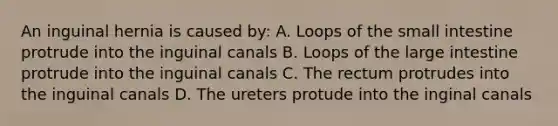 An inguinal hernia is caused by: A. Loops of the small intestine protrude into the inguinal canals B. Loops of the large intestine protrude into the inguinal canals C. The rectum protrudes into the inguinal canals D. The ureters protude into the inginal canals